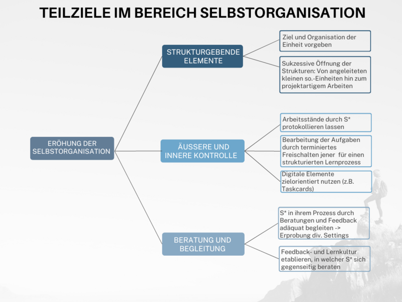 Datei:Teilziele im Bereich Selbstorganisation.png